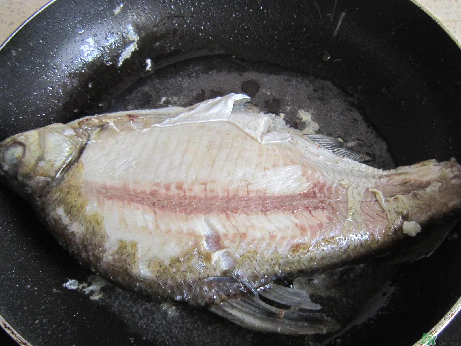 三伏灸可以吃魚嗎？三伏灸可以吃什么魚？