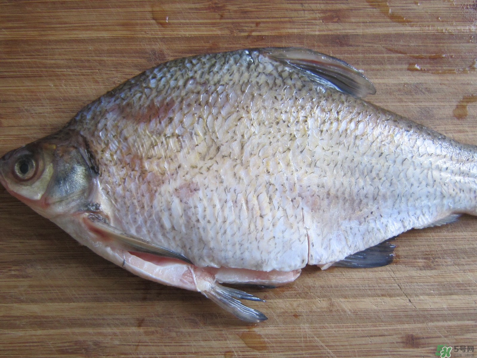 三伏灸可以吃魚嗎？三伏灸可以吃什么魚？
