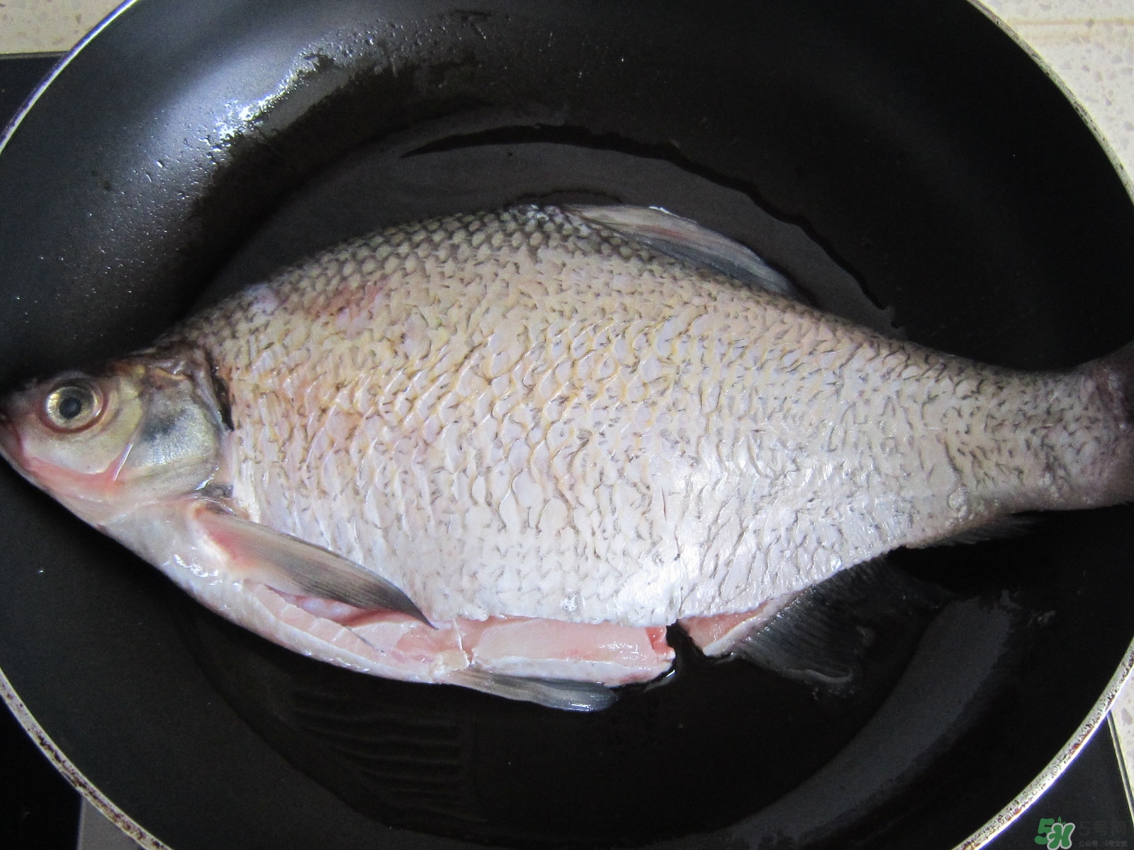 三伏灸可以吃魚嗎？三伏灸可以吃什么魚？