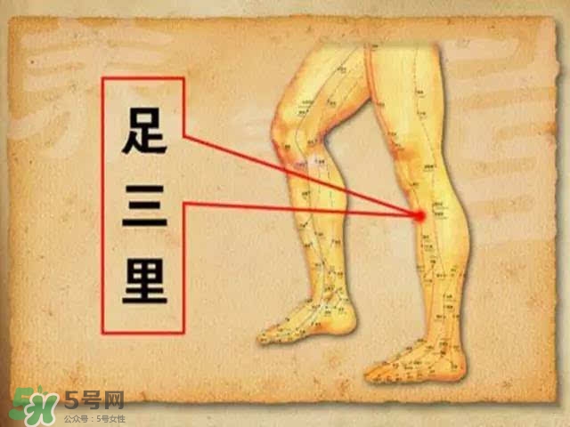 三伏灸可以去除體內(nèi)濕氣嗎？三伏灸可以去濕氣嗎？