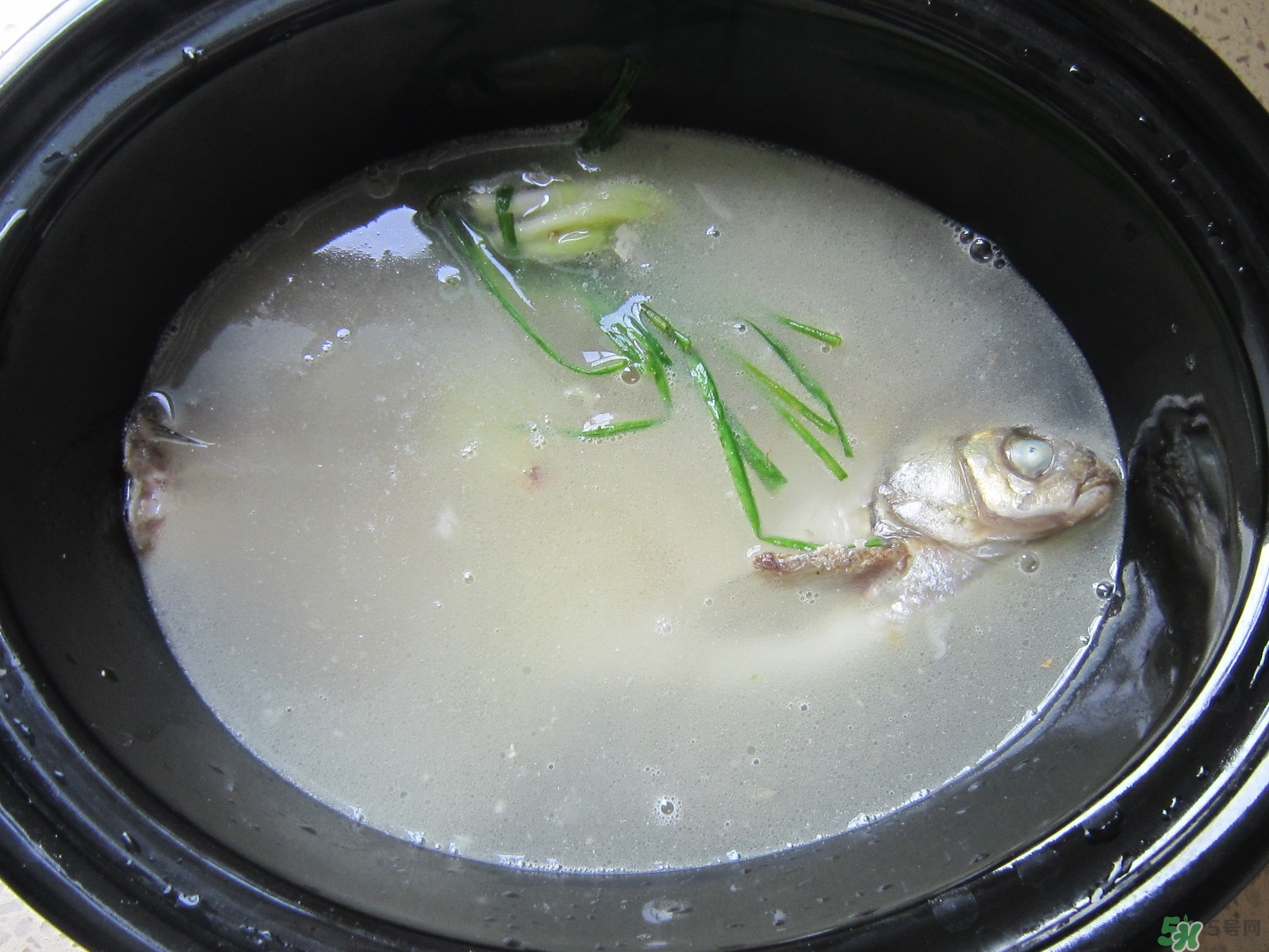三伏灸可以吃魚嗎？三伏灸可以吃什么魚？