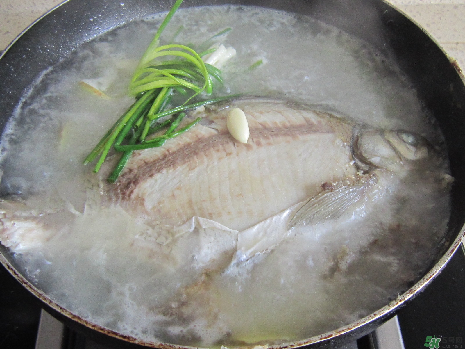 三伏灸可以吃魚嗎？三伏灸可以吃什么魚？