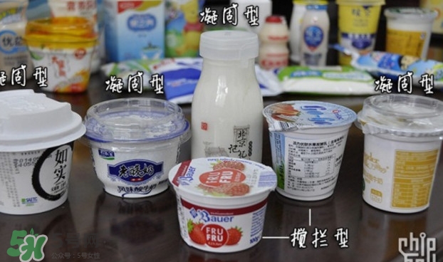 什么牌子的酸奶好？每天喝酸奶好還是純牛奶好