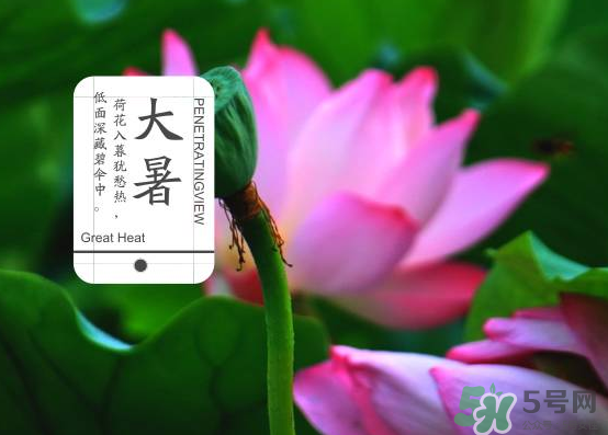 大暑和處暑是什么意思？大暑熱還是處暑熱？