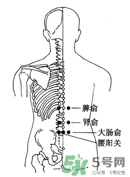 三伏灸可以治腰腿痛嗎？三伏灸治腰腿痛灸哪里》