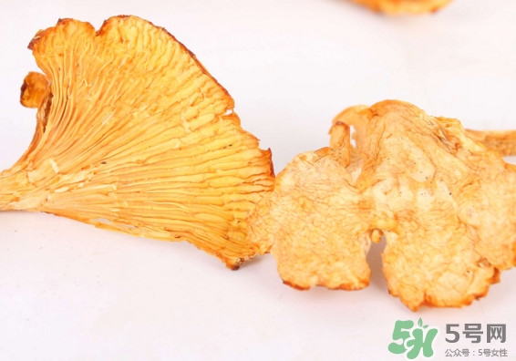 雞油菌多少錢一斤？雞油菌和雞樅菌有什么區(qū)別