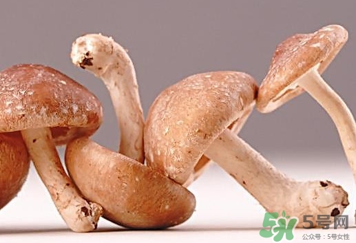 什么病不能吃香菇？香菇不能和什么一起吃