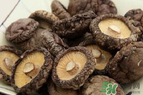 香菇是蘑菇嗎？香菇和蘑菇有什么區(qū)別