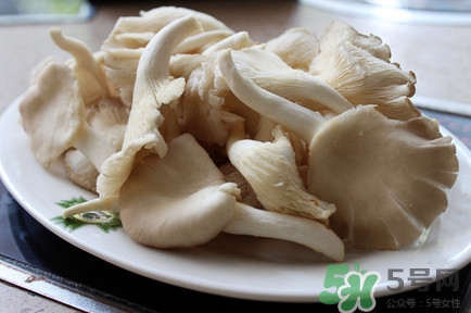 平菇怎么吃最有營養(yǎng)？平菇長白毛還能吃嗎
