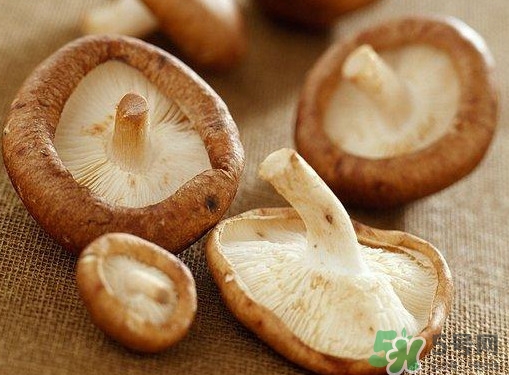 買香菇怎么挑選？干香菇怎么挑選？