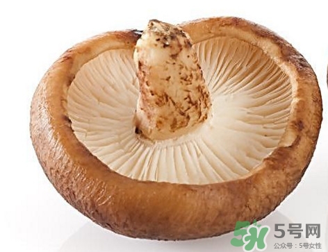 什么病不能吃香菇？香菇不能和什么一起吃