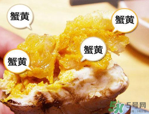 六月黃大閘蟹好吃嗎？六月黃和大閘蟹有什么區(qū)別？