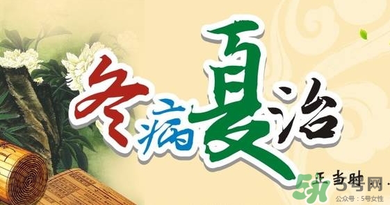 三伏灸要灸幾次？三伏灸要灸多久？
