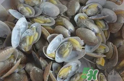 花蛤蜊什么時候最肥？花蛤蜊怎么挑選