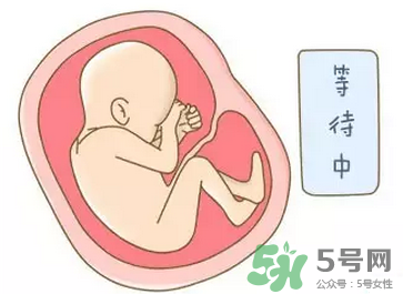 胎位不正能順產(chǎn)嗎？胎位不正怎么辦？