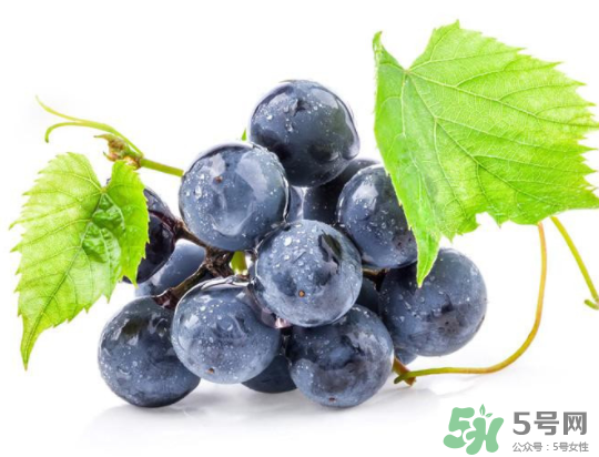 夏黑葡萄為什么掉色？夏黑葡萄怎么會染色？