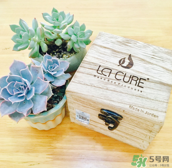 天然死海礦物泥面膜怎么樣？天然死海礦物泥面膜好用嗎？
