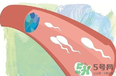 男性避孕藥什么牌子好？男性避孕藥多少錢一盒？