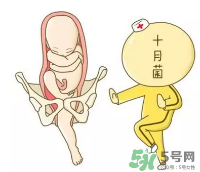 胎位不正能順產(chǎn)嗎？胎位不正怎么辦？