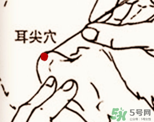 什么是放血療法？放血療法能治什么病