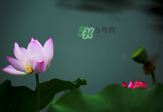 2017中伏最熱嗎？ 2017初伏中伏末伏哪個(gè)最熱？