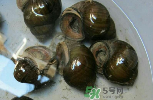 田螺里面都可以吃嗎？田螺不能和什么同食