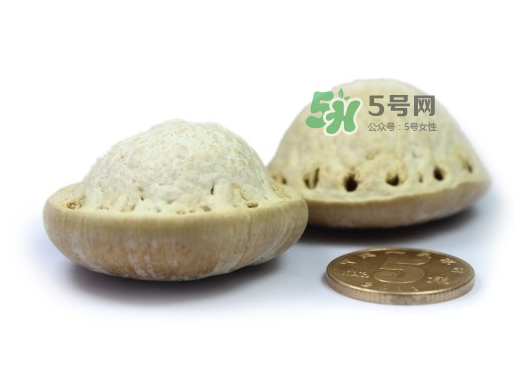 風(fēng)流果泡酒要不要敲碎？壯陽(yáng)果泡水要不要敲碎？