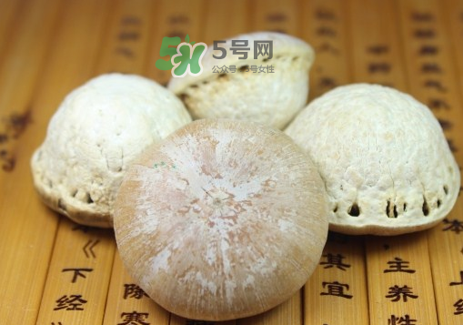 風(fēng)流果泡酒要不要敲碎？壯陽(yáng)果泡水要不要敲碎？
