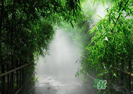 2017大暑會(huì)不會(huì)下雨？2017大暑下雨好嗎？