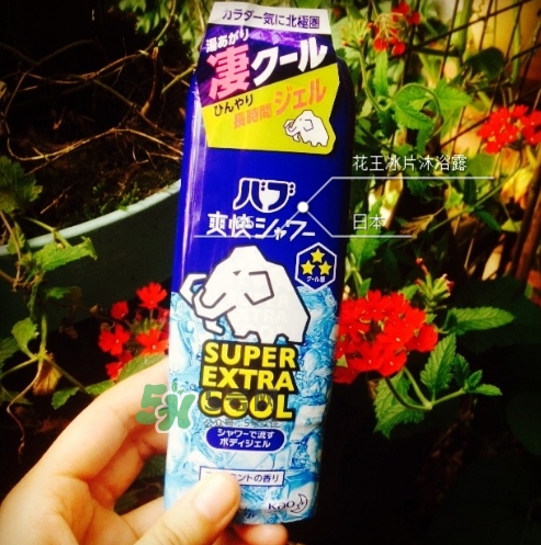 花王kao冰片沐浴露怎么樣？花王冰片沐浴露哪款好？