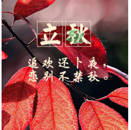 立秋后就是秋天了嗎？立秋后就涼快了嗎？