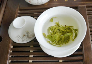 碧螺春是涼性的嗎？碧螺春是溫性還是涼性