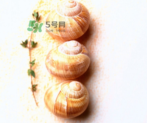 田螺是寒性的嗎？田螺煮多久殺死寄生蟲