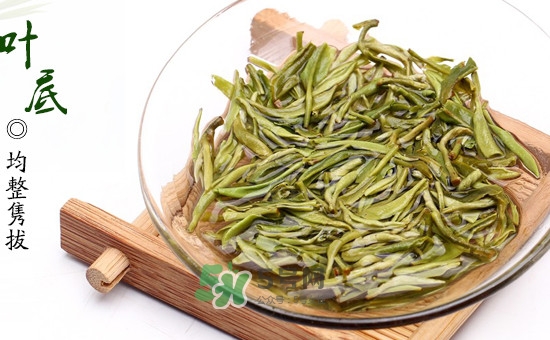 碧螺春泡出的茶是什么顏色？泡碧螺春水溫多少度最好