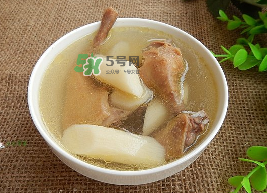 三伏天能吃鴿子嗎？三伏天能喝鴿子湯嗎？