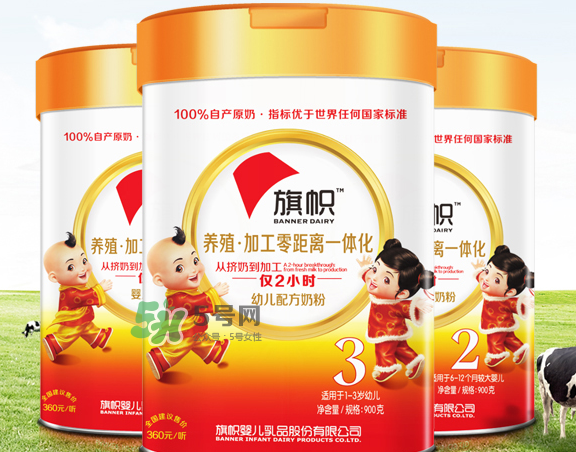 旗幟奶粉怎么樣？旗幟奶粉好不好？