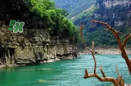 漂流需要準(zhǔn)備什么東西？漂流哪里最好玩？