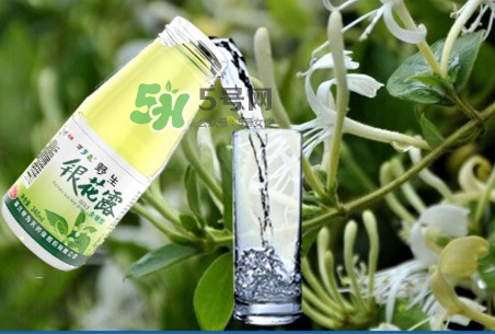 金銀花露可以冷藏嗎？金銀花露能放冰箱嗎？