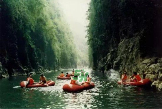 漂流需要準(zhǔn)備什么東西？漂流哪里最好玩？