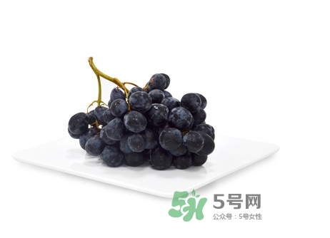 黑提有籽嗎？黑提是什么季節(jié)的水果