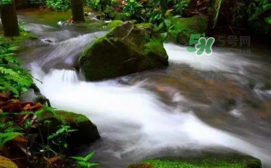 漂流需要準(zhǔn)備什么東西？漂流哪里最好玩？