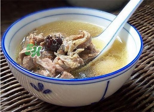 三伏天能吃鴿子嗎？三伏天能喝鴿子湯嗎？