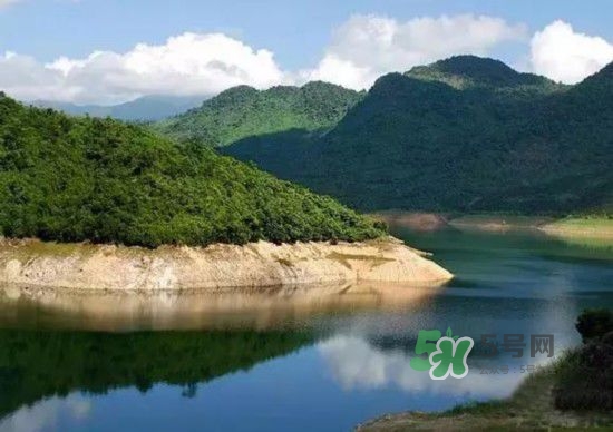 漂流需要準(zhǔn)備什么東西？漂流哪里最好玩？