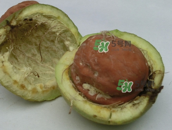 核桃最外面的青皮有什么用？為什么摸了核桃的青皮手會(huì)黑？
