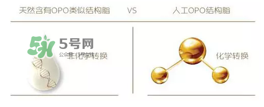 奶粉里面的OPO是什么？opo是天然的還是后期添加的？