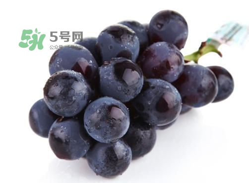 巨峰葡萄是酸性還是堿性？巨峰葡萄是堿性的嗎？