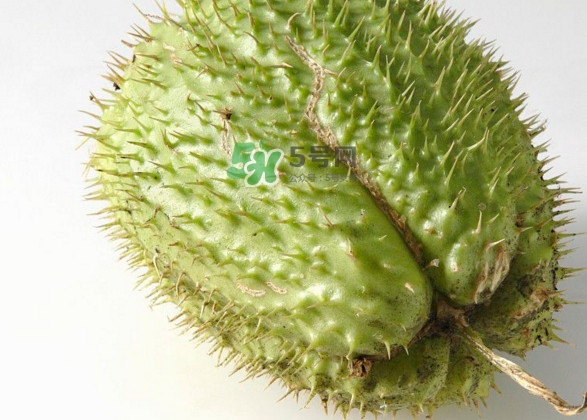 刺果番荔枝多少錢一斤？刺果番荔枝哪里有賣？