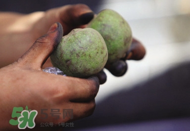 青皮核桃哪里有賣(mài)？哪里可以買(mǎi)到青皮核桃