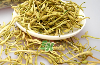 金銀花茶是去火的嗎？金銀花茶有什么功效與作用