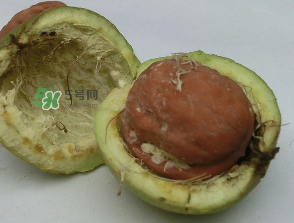 青皮核桃是怎么變成干核桃的？吃核桃為什么有酒味
